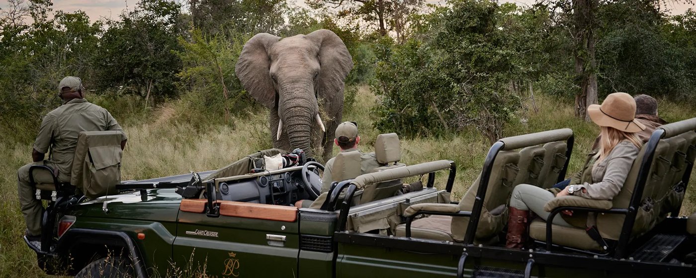 Kruger National Park Safari | Why Go | Go2Africa