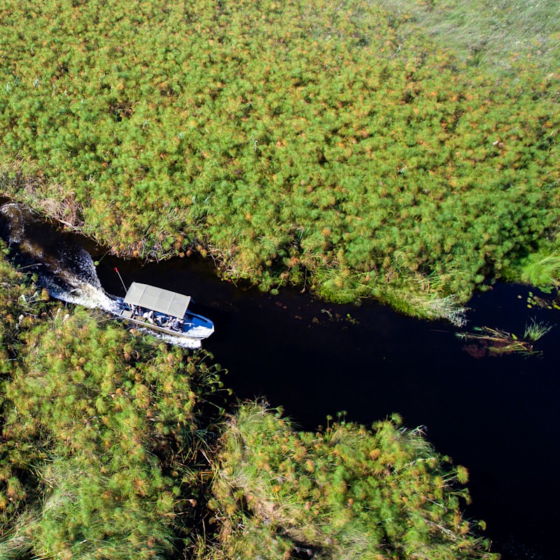 Experience The Okavango Delta In Botswana | &Beyond