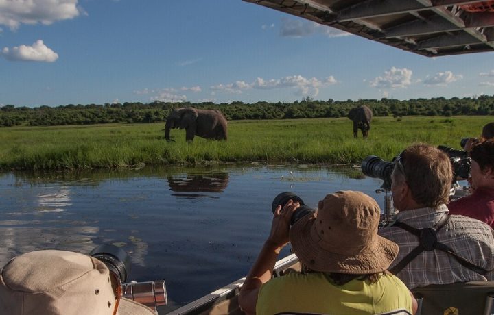 Chobe National Park, Botswana | Accommodation & Activities