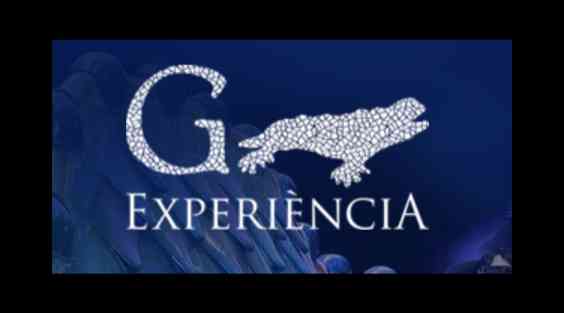 Home - Gaudi Experiencia