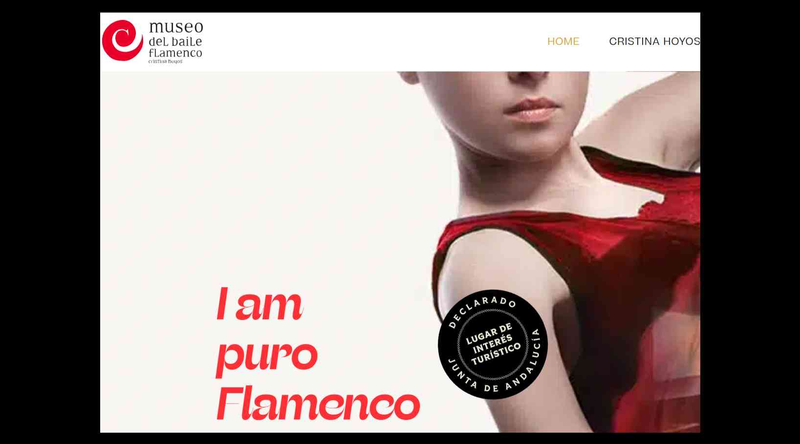 Seville's Flamenco Dance Museum