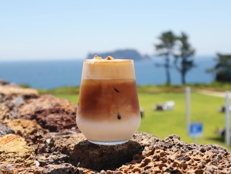 Popular Jeju Cafes You Need To Check Out (2026)