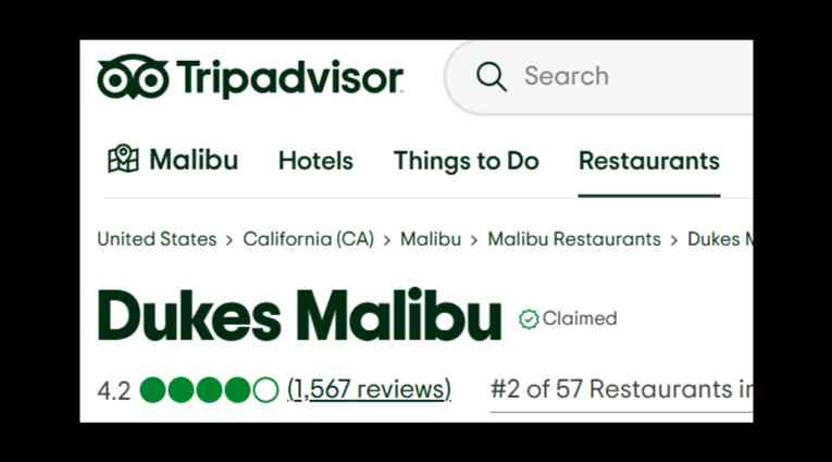 TripAdvisor