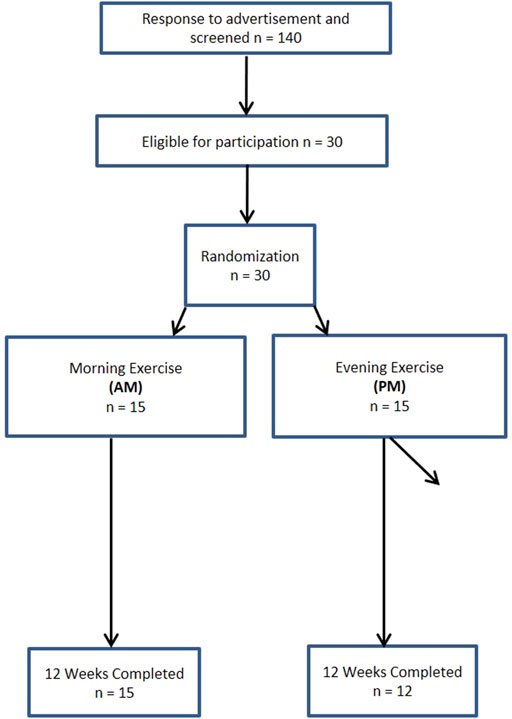 Frontiers | Morning Exercise Reduces Abdominal Fat and Blood Pressure in Women; Evening Exercise Increases Muscular Performance in Women and Lowers Blood Pressure in Men