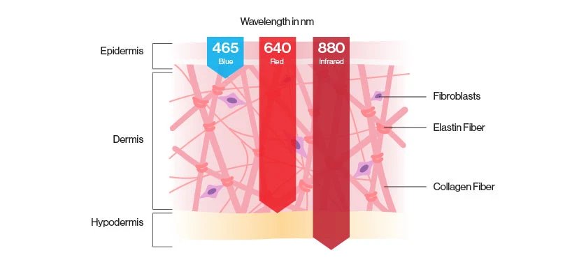 LED & Red Light Therapy Wavelengths: Everything You Need to Know