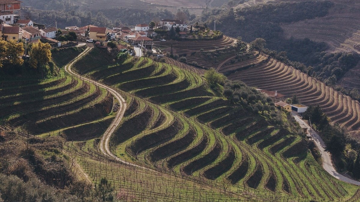 How to drink in the beauty and traditions of the Douro Valley, Portugal's famous wine region