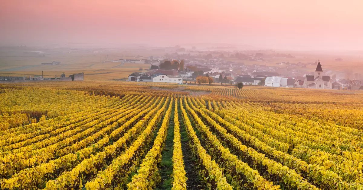 Champagne travel