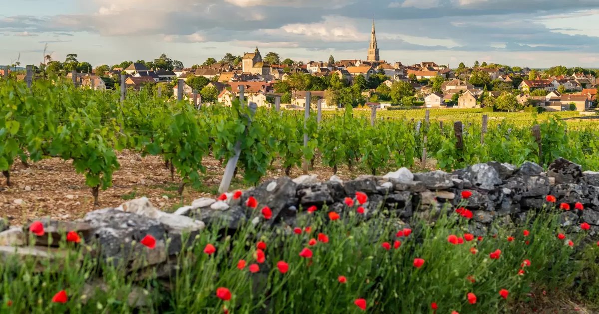 9 of the best places to visit in Burgundy, France