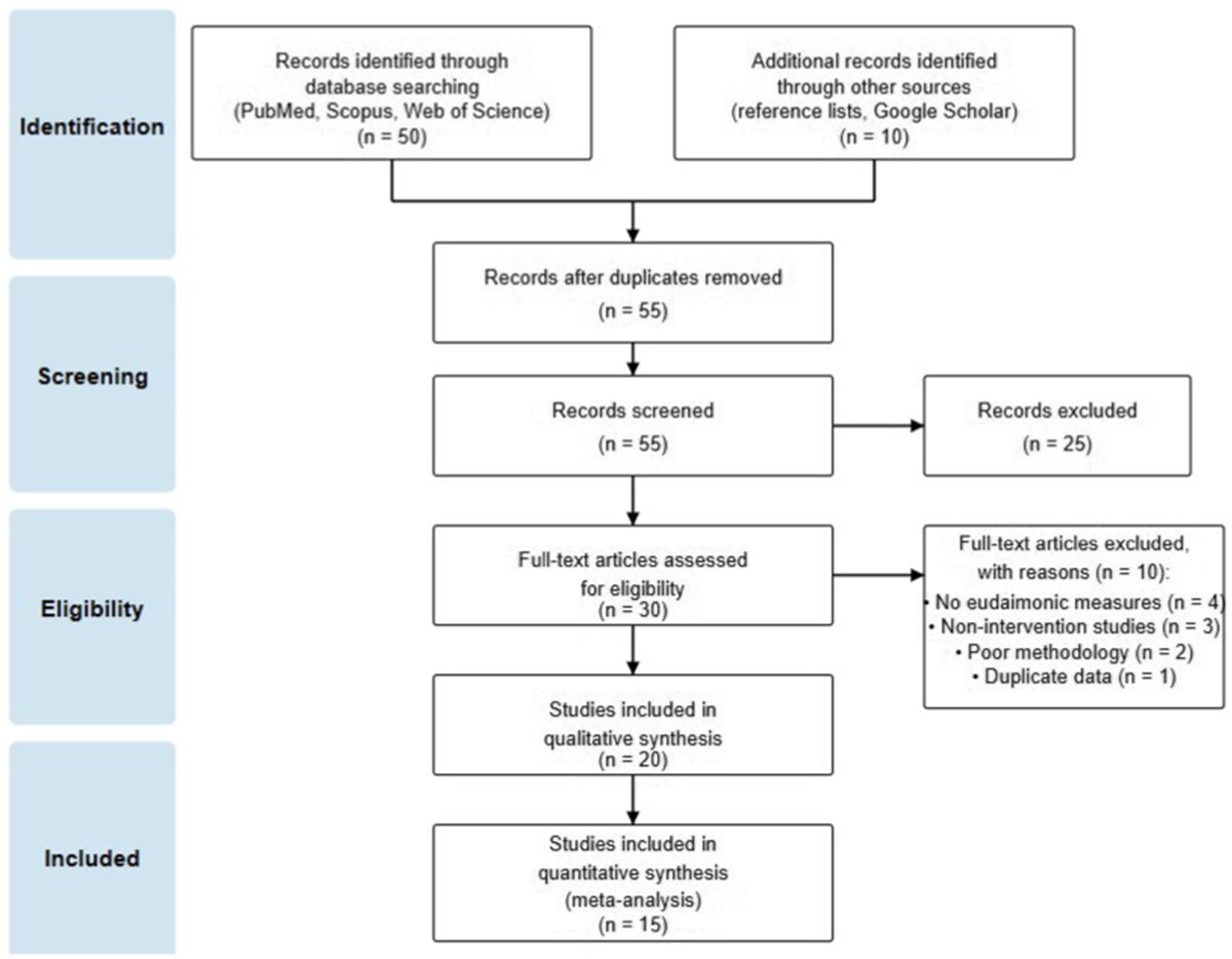 Frontiers | Digital detox as a means to enhance eudaimonic well-being