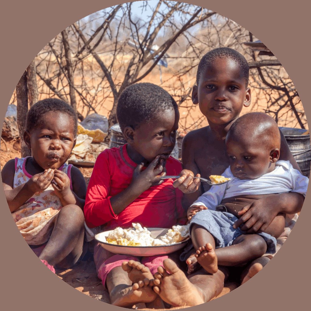 Home :: Solar Cookers International