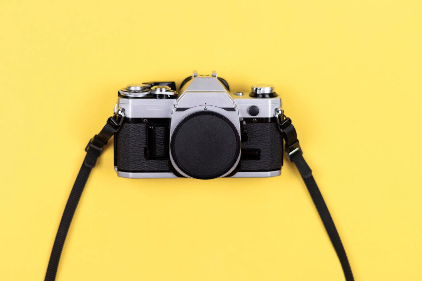 The best cameras of 2025