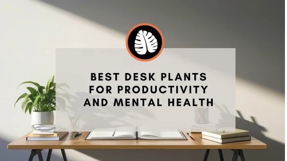 The Workplace Jungle: Best Desk Plants for Productivity and Mental Health