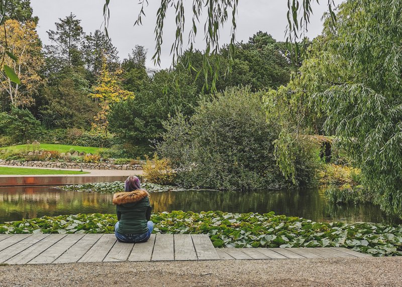 Solo Travel in Copenhagen: The Essential Guide