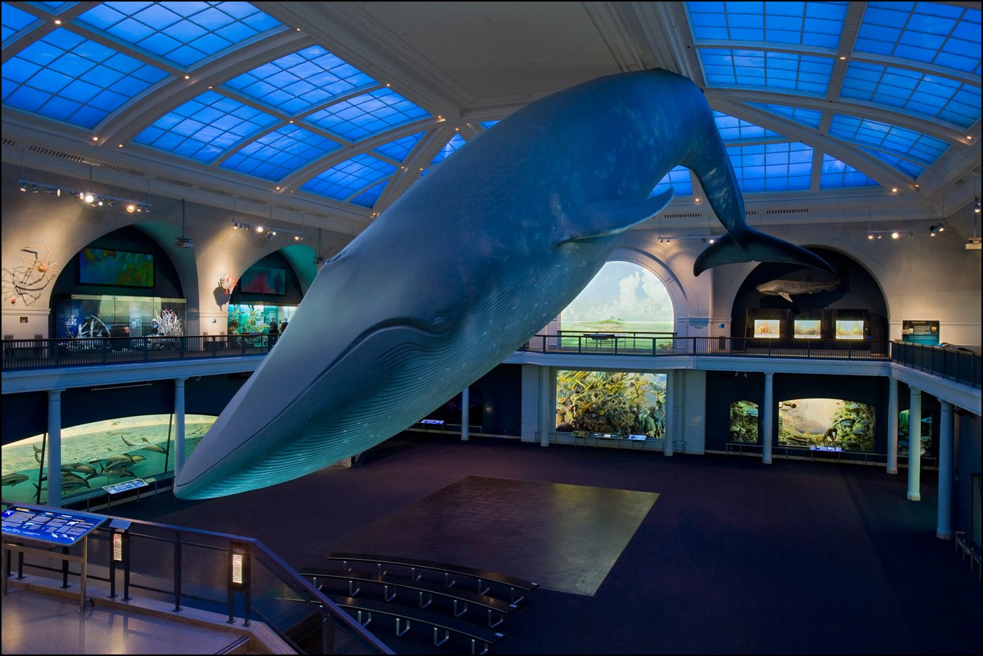 American Museum of Natural History | Museums in Upper West Side, New York