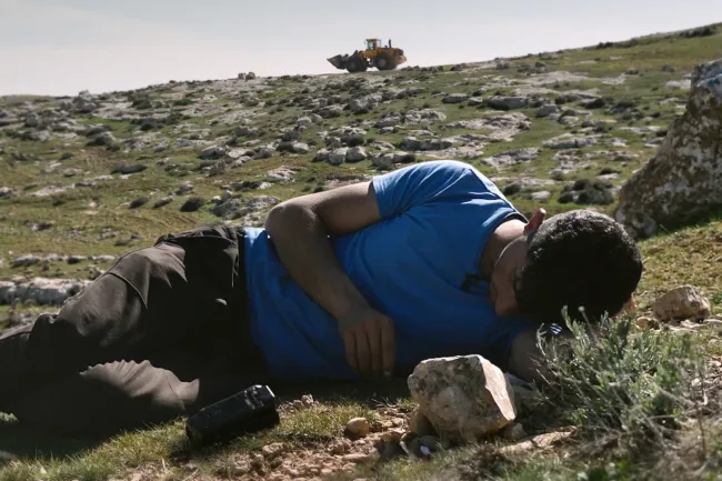 The 21 Best Documentaries and Documentary Series of 2024