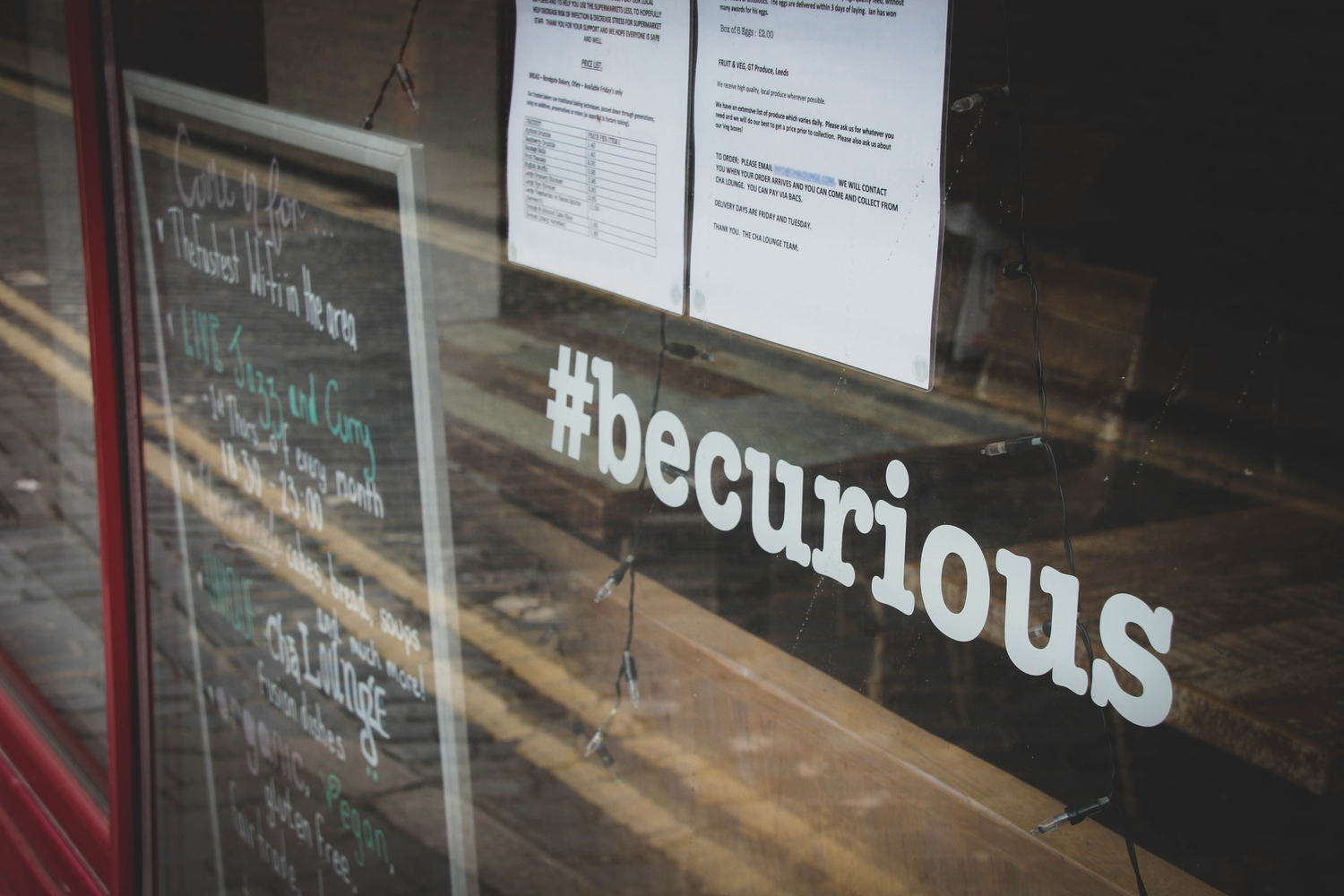 The Key to Surviving Networking? Curiosity
