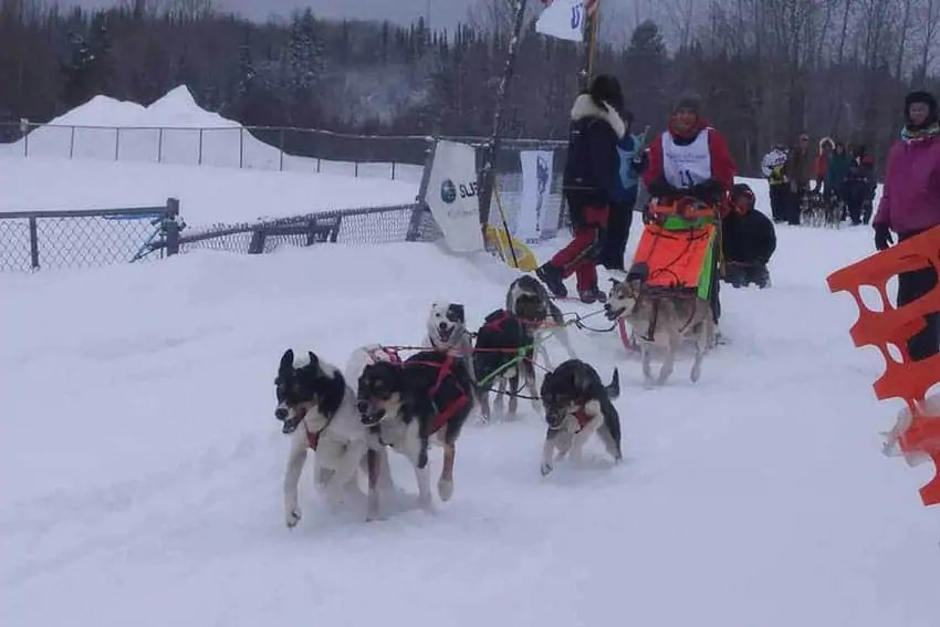 Inspiring Ely Minnesota, Winter Activities Are #1 | GoNOMAD Travel