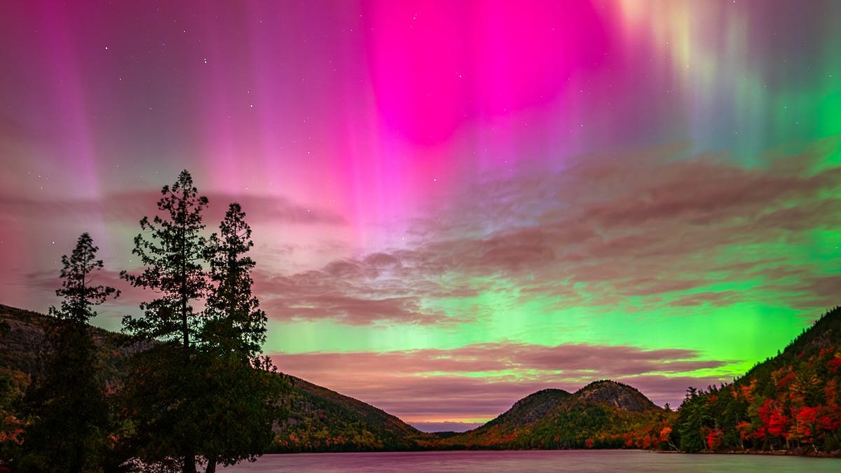 Northern Lights in Acadia!