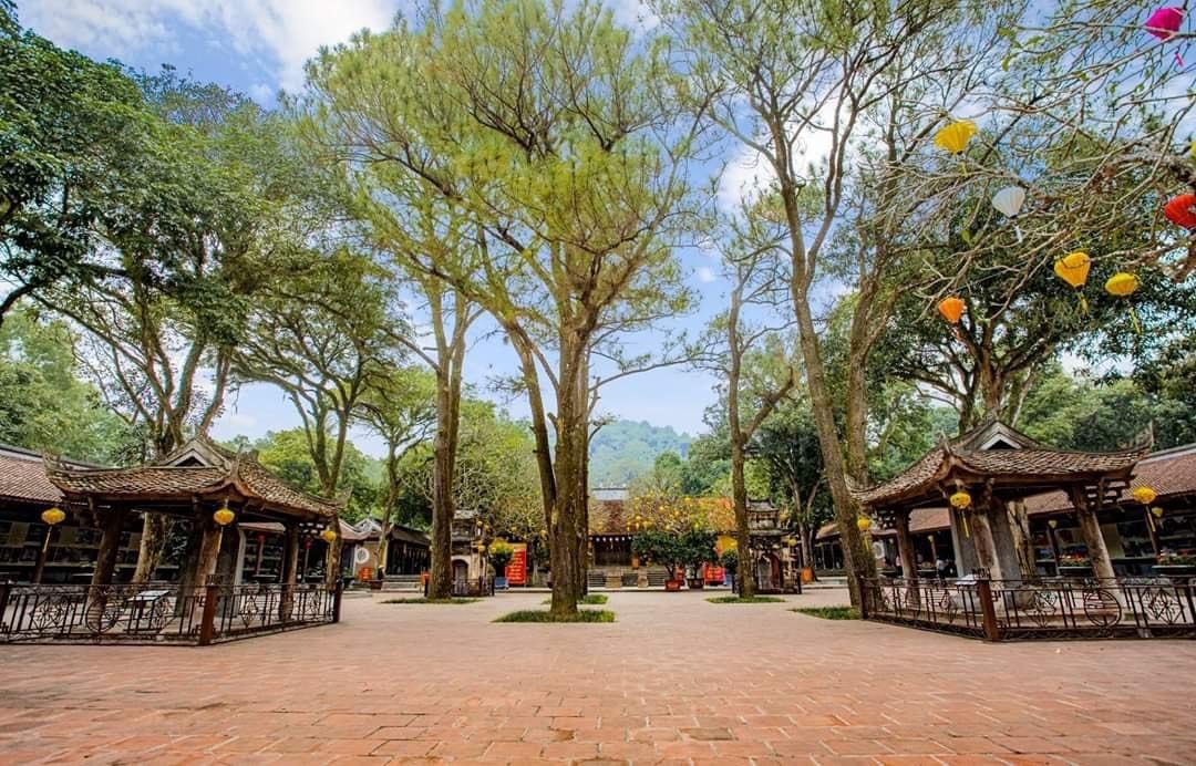 Vietnam's 9th World Heritage Site spotted!