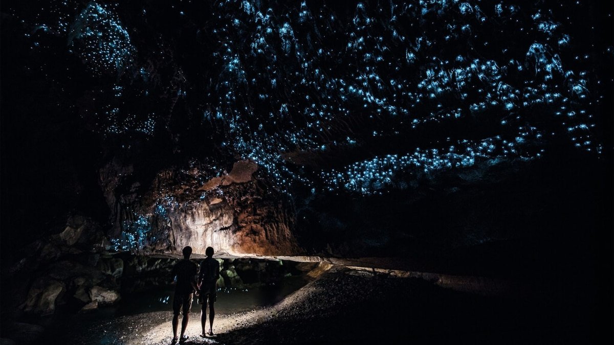 Searching for glow worms in New Zealand's Waitomo Caves