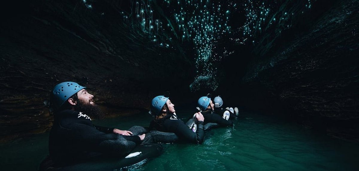 A Guide To Waitomo Glowworm Caves In New Zealand