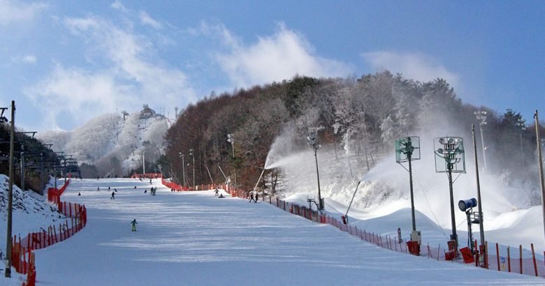 Phoenix Park Ski Resort Guide: Pyeongchang's Snow Fun (2025) - Trazy Blog
