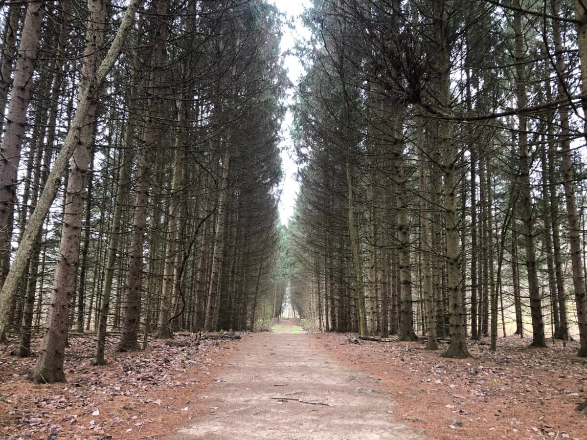 Easiest Hikes in Cuyahoga Valley National Park (Local Guide) - OhioParkQuests