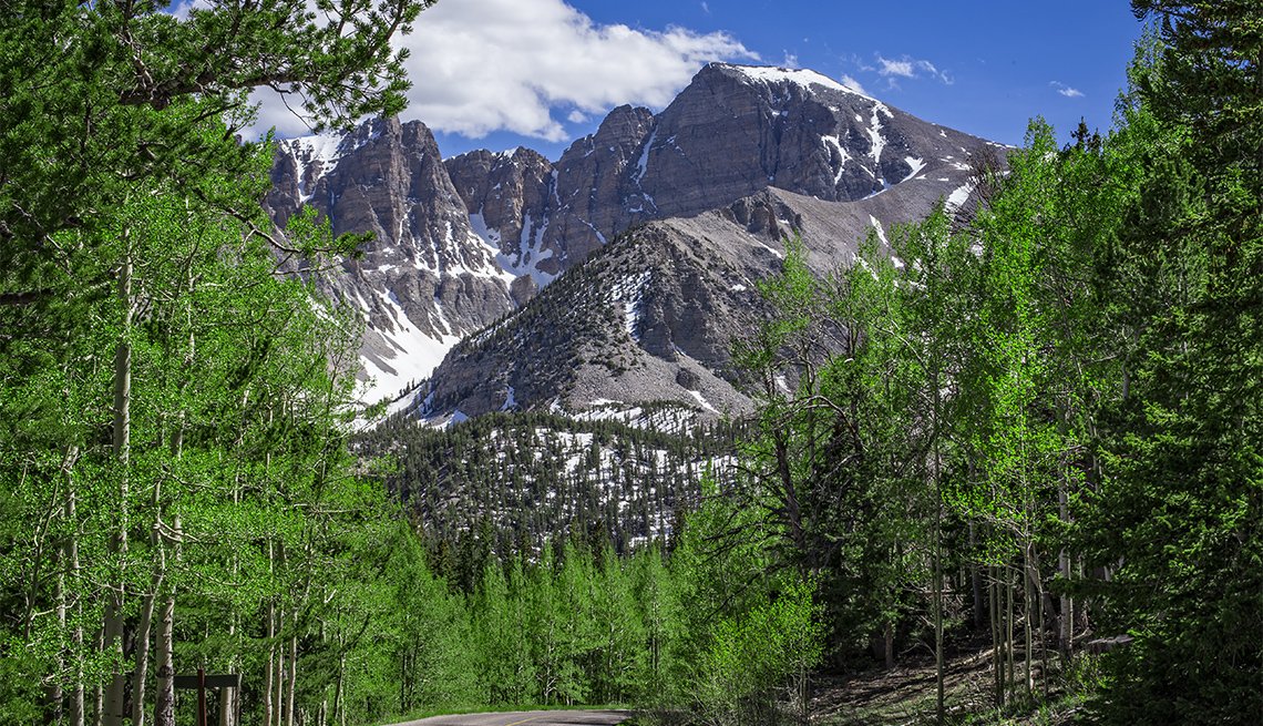 Things to Do at Nevada’s Great Basin National Park​