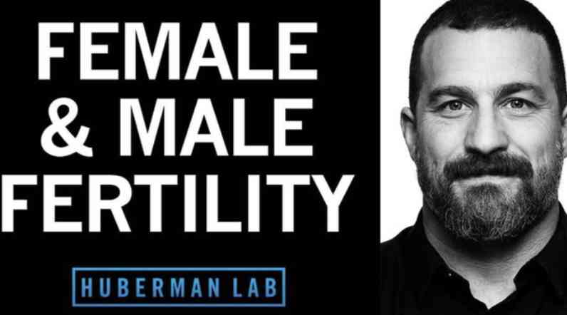 How to Optimize Fertility in Males & Females