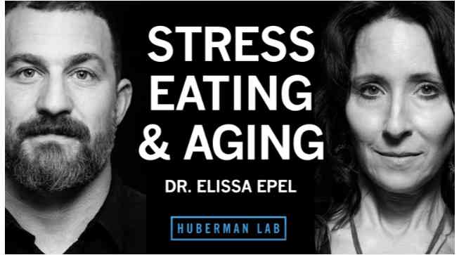 Dr. Elissa Epel: Control Stress for Healthy Eating, Metabolism & Aging | Huberman Lab Podcast