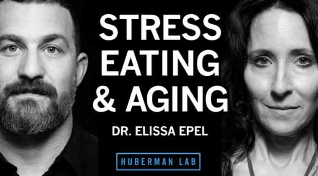 Huberman Lab: Dr. Elissa Epel: Control Stress for Healthy Eating, Metabolism & Aging 