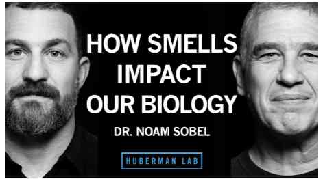 Dr. Noam Sobel: How Smells Influence Our Hormones, Health & Behavior