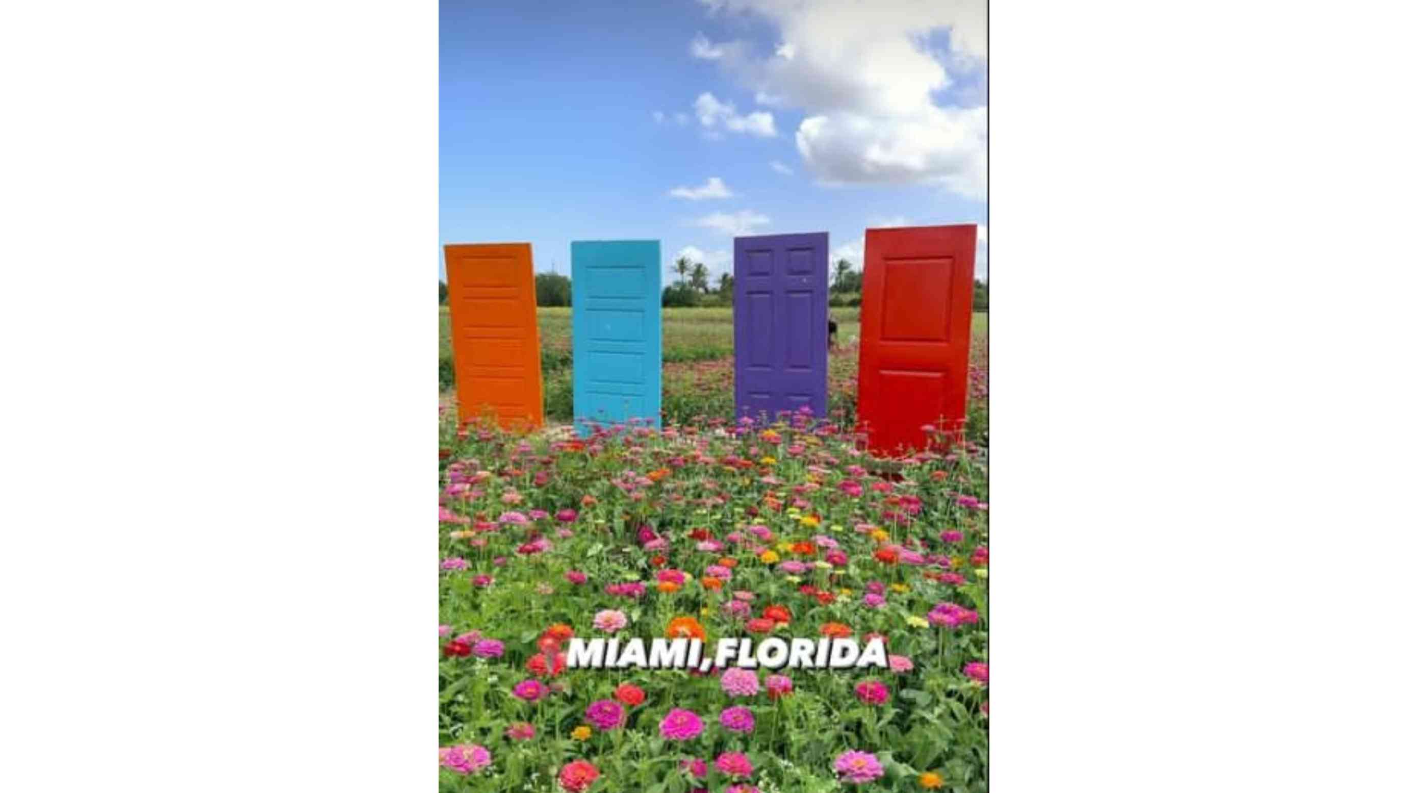 The Berry Farms, Miami