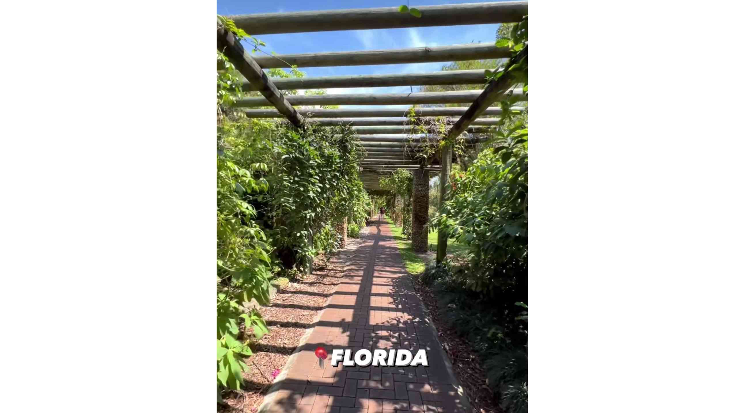The REAL Outdoor Plans of Florida In Miami