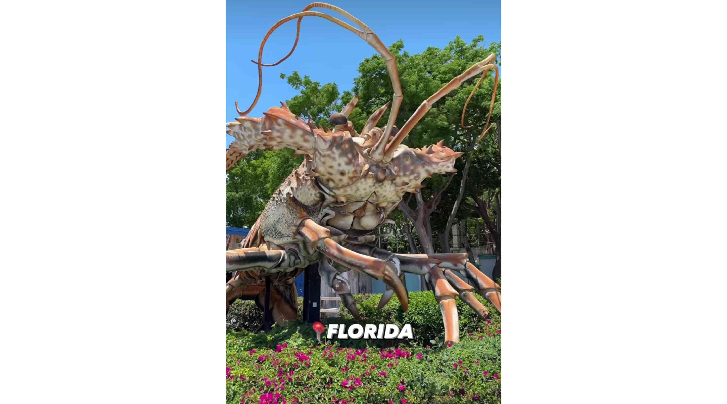 The Rain Barrel Village, Islamorada
