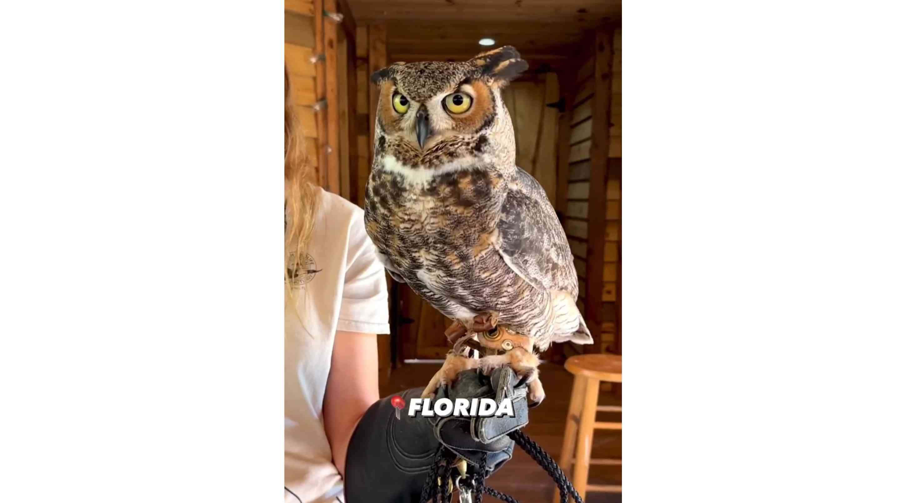 Busch Wildlife Sanctuary, Jupiter FL