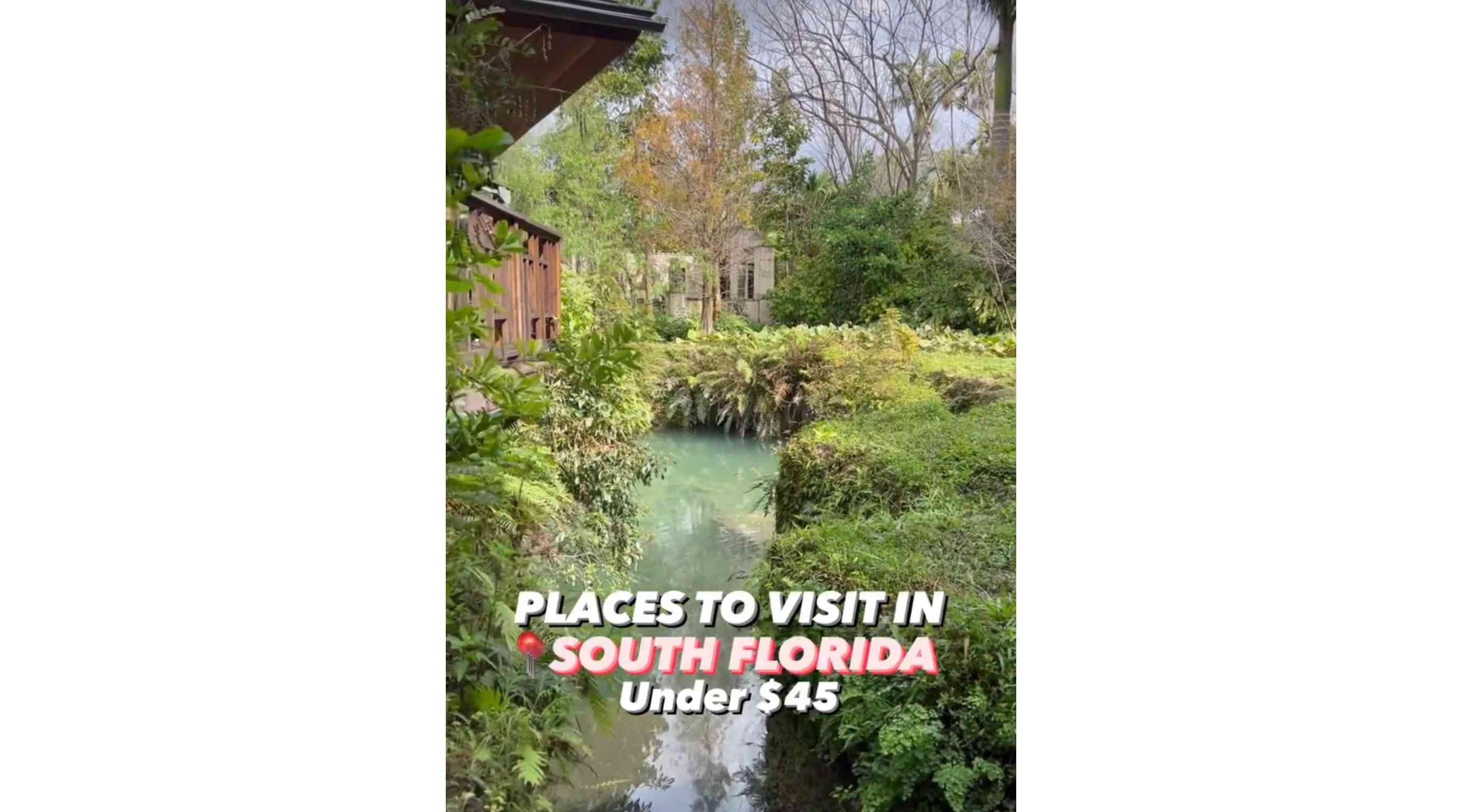 The OFFICIAL Peakacity x Lifestyle_Miami Places To Visit In South Florida Series Pt 1