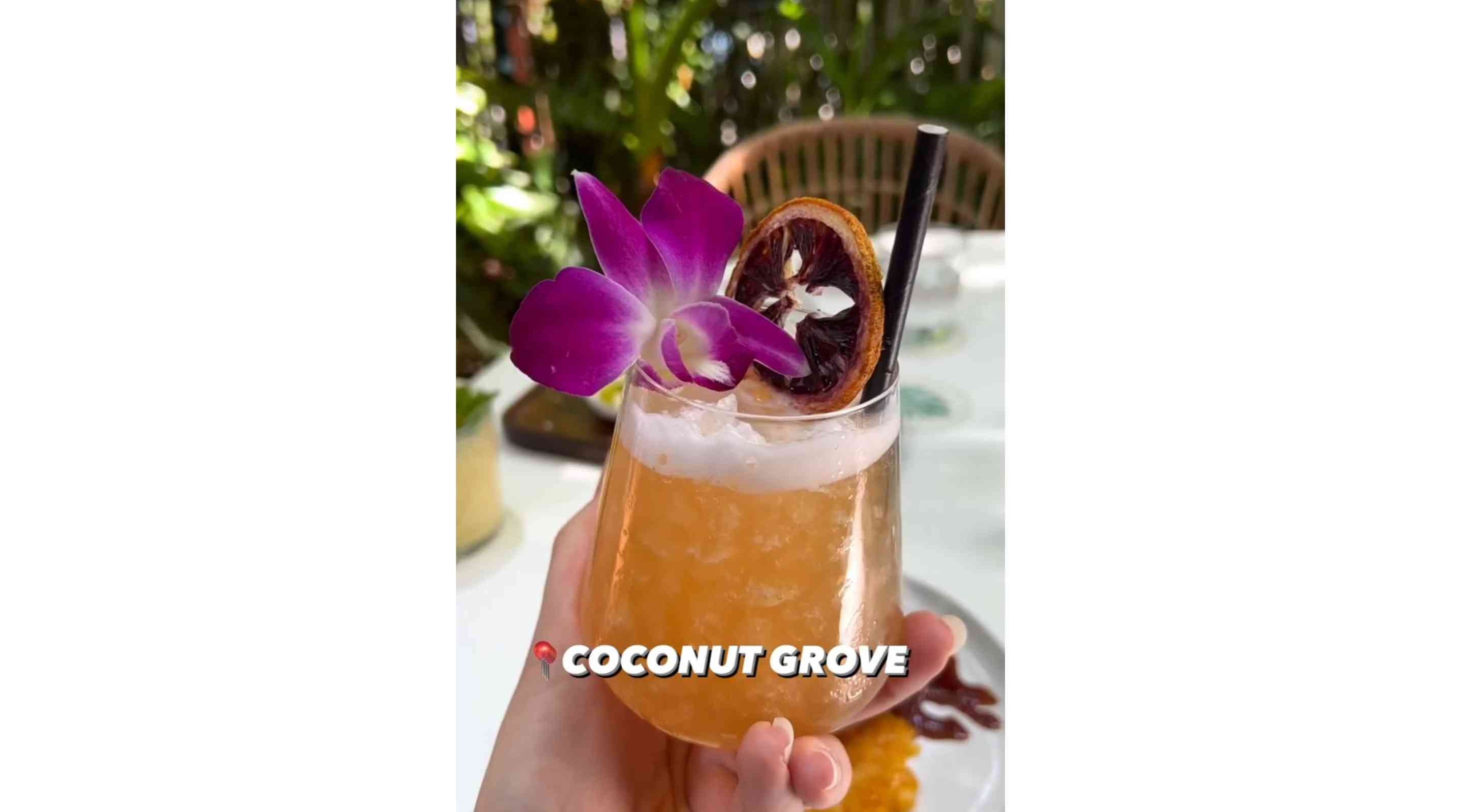 Coconut Grove, Miami FL