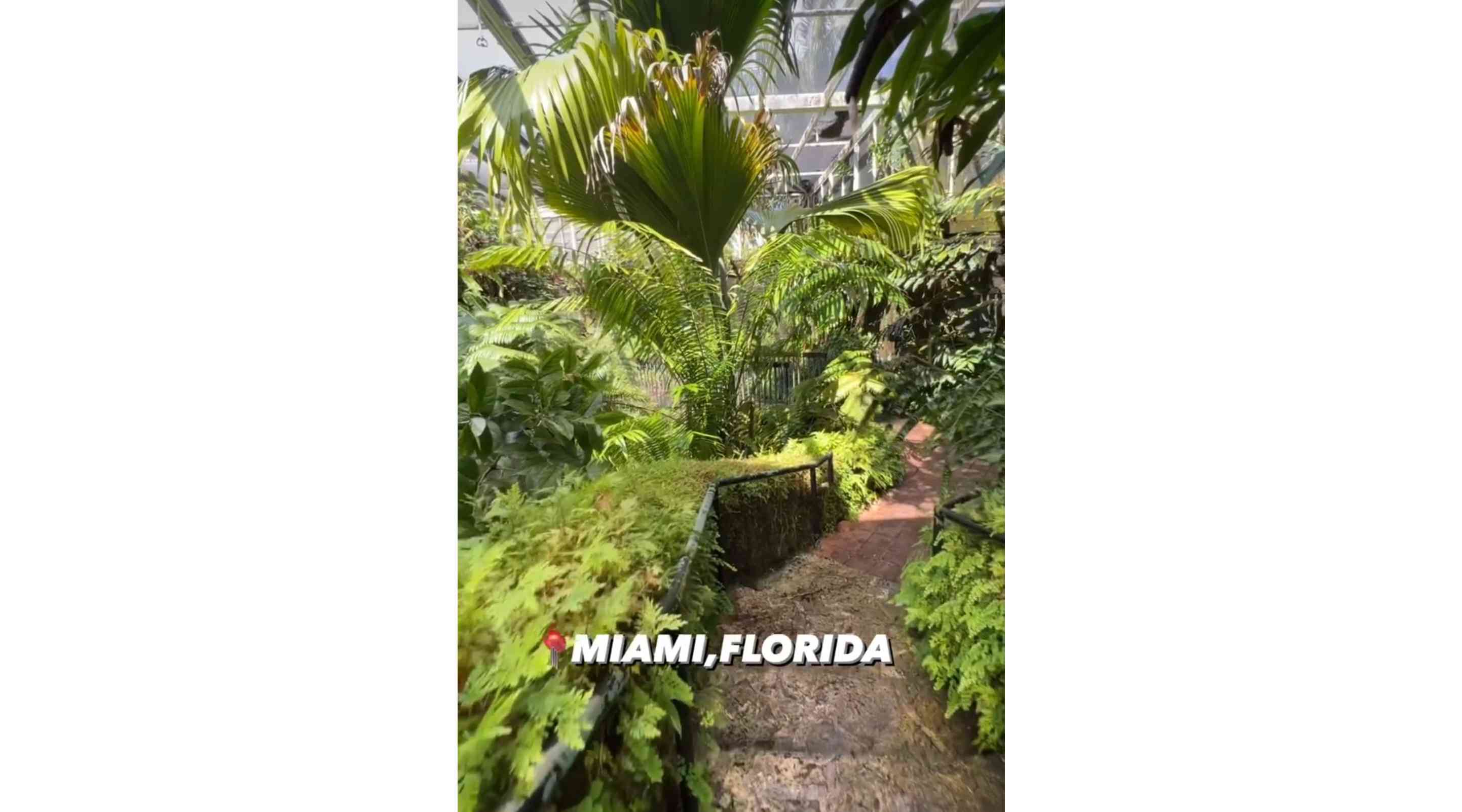 Fairchild Tropical Botanical Garden