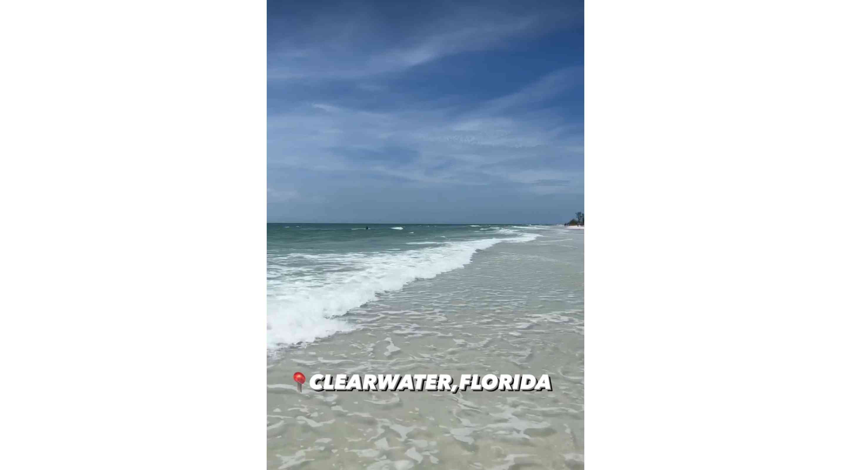 Honeymoon Island State Park, Dunedin FL