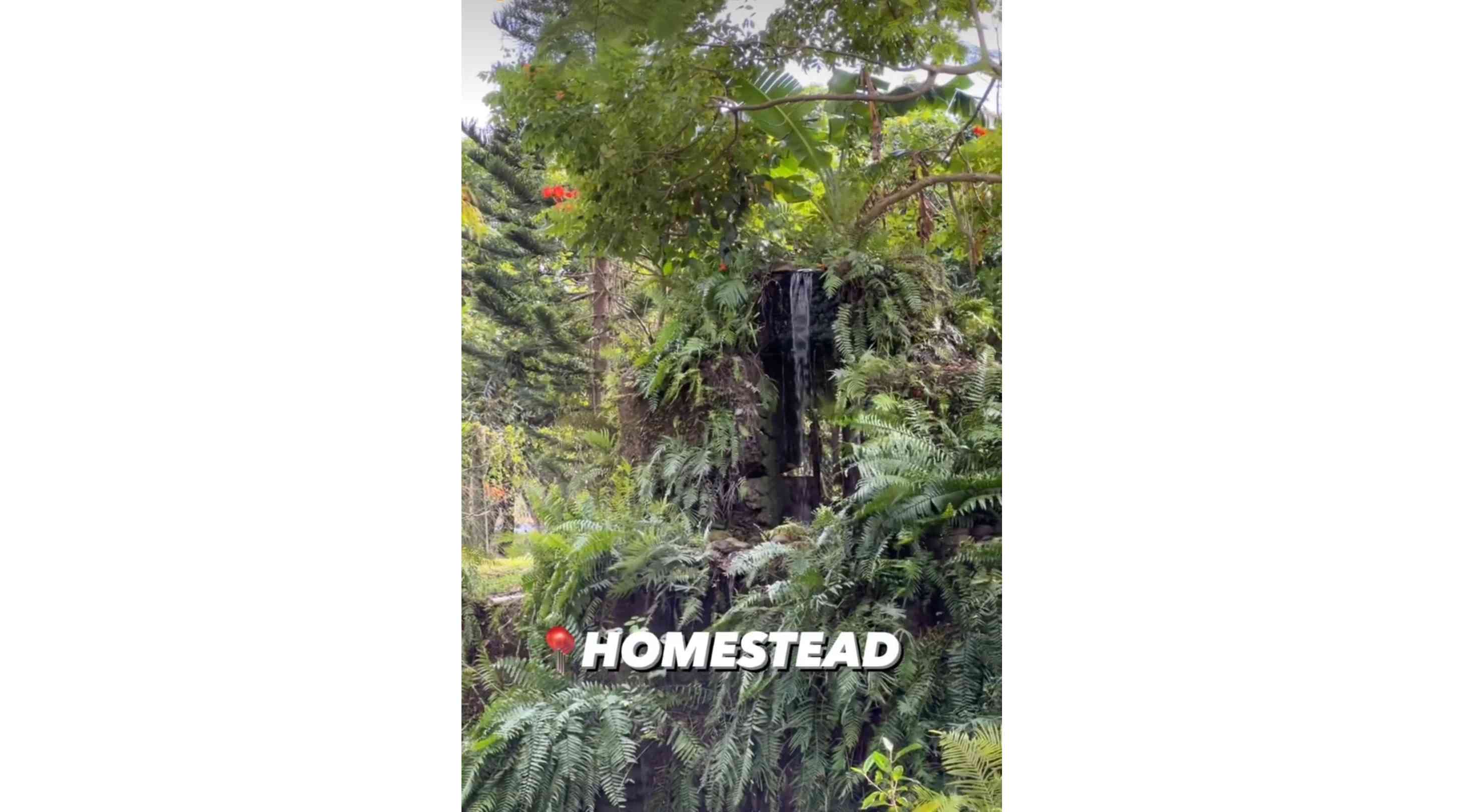Everglades Outpost, Homestead
